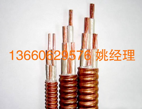 礦物質(zhì)電纜